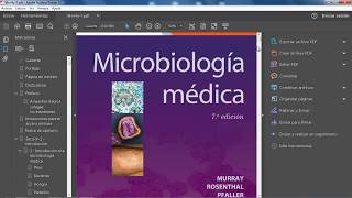 Murray  Microbiología Médica 7ed PDF LIBRO [upl. by Eiznikcm]