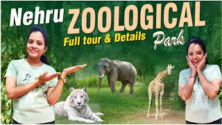 Hyderabad Nehru Zoo Park Full Tour  Details About Timing Ticket Cost  Jungle Safari  In Telugu [upl. by Niuqauj]