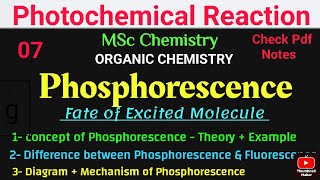 Phosphorescence  TheoryExampleMechanism  Diagram Difference photochemistry mscchemistrynotes [upl. by Enriqueta]