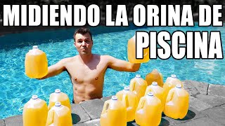 Cómo Medir la Cantidad de PIPÍ que Hay en la Piscina [upl. by Ikim]