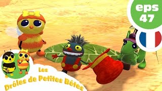 DRÔLES DE PETITES BÊTES  EP47  Nu comme un ver [upl. by Elliot]