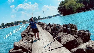 MULTI SPECIES FISHING ON THE PIER AT LAKE ERIE Lake Erie fishing part 2 [upl. by Nnalyrehs]