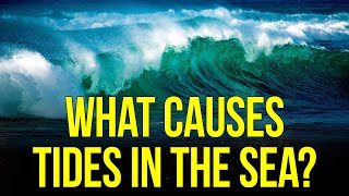 What causes tides in the sea  Earth Science NfxRajasthani [upl. by Carlen]