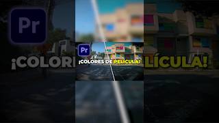 Color Grading FÁCIL Premiere Pro [upl. by Ynnattirb]