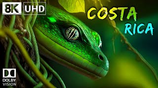 COSTA RICA 🇨🇷 8K Video Ultra HD 60FPS Dolby Vision  Costa Rica 8K HDR  8K TV [upl. by Lyell]