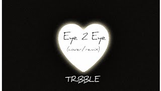 TRiBBLE  Eye 2 Eye CoverRemix [upl. by Laekim]