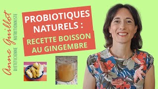 Probiotiques naturels  boisson au gingembre lactofermentée [upl. by Jaenicke]