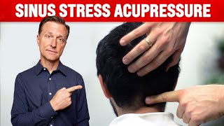 How to Get Rid of Sinus Congestion – Acupressure for Sinus – Dr Berg [upl. by Elwin]