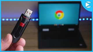 Accessing USB from Linux on Chromebook [upl. by Wane]