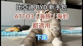 比亞迪 BYD 新手包 下集  推介精選車機apps  ATTO 3  海豚  海豹  都適用 [upl. by Aehc]