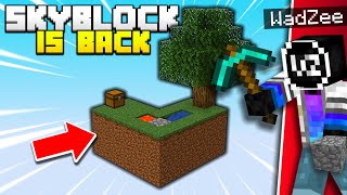 Minecraft Skyblock is BACK [upl. by Hoban916]