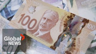 Cost of living top of mind for Canadians in 2024 poll finds [upl. by Amrak]