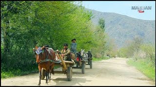 PAKISTANI VILLAGE LIFE 2019 [upl. by Gonsalve]