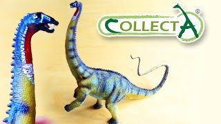 CollectA® Diplodocus Review [upl. by Lisa]