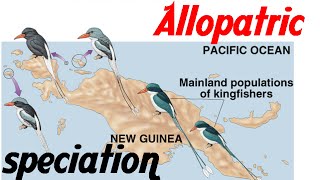 Allopatric speciation animation [upl. by Akinek]