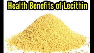 10 Health Benefits of Lecithin [upl. by Annohsat]