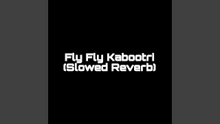 Fly Fly Kabootri Slowed Reverb [upl. by Lacram277]