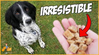 Super Tasty Homemade Dog Treats anyone can make [upl. by Kaile737]