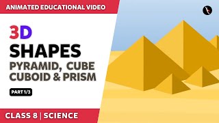 3D Shapes  Cube Cuboid Pyramid amp Prism  Part 13  English Explanation  Class 6  TicTacLearn [upl. by Kenon909]