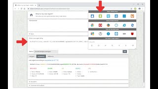 UserAgent Switcher  Browser Extension Review [upl. by Akenet440]