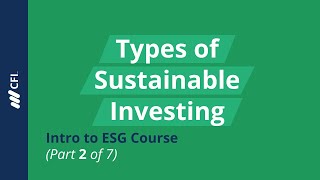 Types of Sustainable Investing  Intro to ESG Course Part 2 of 7 [upl. by Alayne]