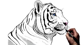 How To Draw A Tiger Side View  Step By Step [upl. by Aizirtap]