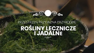 Rośliny lecznicze i jadalne [upl. by Tracy]