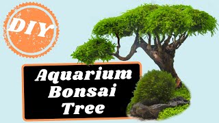 Making 3 Easy Aquarium Bonsai Trees For Your Planted Tank [upl. by Llerrut]