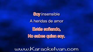 Juan Gabriel  Insensible KARAOKE [upl. by Zina]