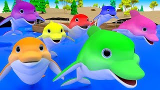 Colors for Children to Learn with Cartoon Dolphins Color Water 3D Kids Toddler Babies Learn Colors [upl. by Guilbert]