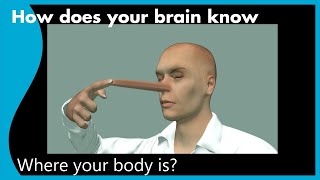 What is Proprioception  How does your brain know where your body is [upl. by Peter]