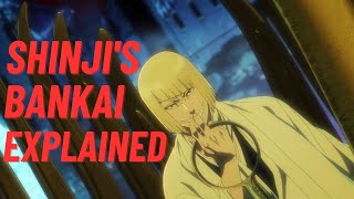 Shinjis Bankai Explained [upl. by Nohs]