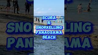 Scuba amp Snorkelling Panagsama Beach  moalboal swimming tourism [upl. by Anoyi]