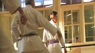 Shotokan Karate Documentary [upl. by Yotal]