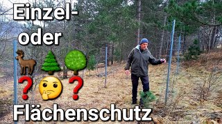 Einzel oder Flächenschutz beim 🦌 Wildschutzzaun 🌲🌳🤔❓️ Zaun Kontrolle Aufforstung Bäume pflanzen [upl. by Inafetse]