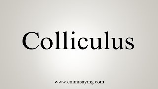 How To Say Colliculus [upl. by Alleusnoc201]