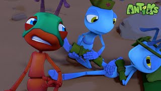 Ant Down ⛑🏳 ANTIKS Funny Cartoons For All The Family [upl. by Ginsburg114]