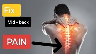 The Best Exercises for Mid Back Pain Relief in 5 minutes [upl. by Grieve967]