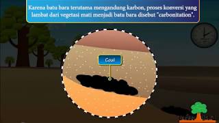 Proses Pembentukan Batubara Coal Formation [upl. by Knah]