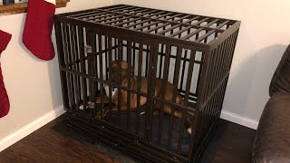 The BEST dog cage Amazon HAIGE Pet Nanny dog crate review [upl. by Anis]