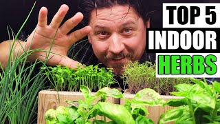 Top 5 Herbs To Grow Indoors [upl. by Steven]