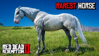 All 15 Rare Horse Locations  RDR 2 [upl. by Angele]