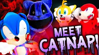 Meet CATNAP  Sonic and Friends [upl. by Lattie]