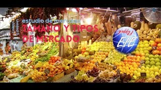 Unidad 3 Vídeo 1 Flipped EIE Tamaño y tipos de mercado [upl. by Naul]