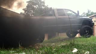 2005 59 cummins bully dog Rollin coal [upl. by Aneger]