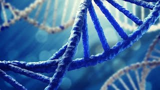 DNA Science  Human Race and Genetics Documentary [upl. by Aya592]