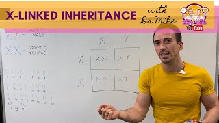 Xlinked inheritance in basic terms [upl. by Alikat218]