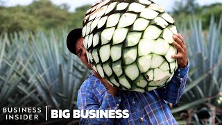 Mezcal Is The FastestGrowing Liquor In The US Why Arent Mexican Producers Cashing In [upl. by Lanevuj]