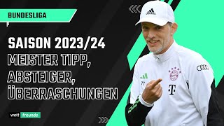 Bundesliga Prognose 202324 🏆 Meister Absteiger Überraschungen [upl. by Einnig]