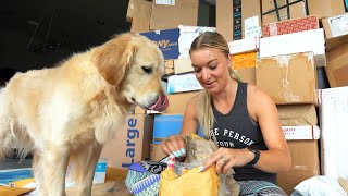 INCREDIBLE PO BOX OPENING  Super Cooper Sunday 298 [upl. by Tterrej310]